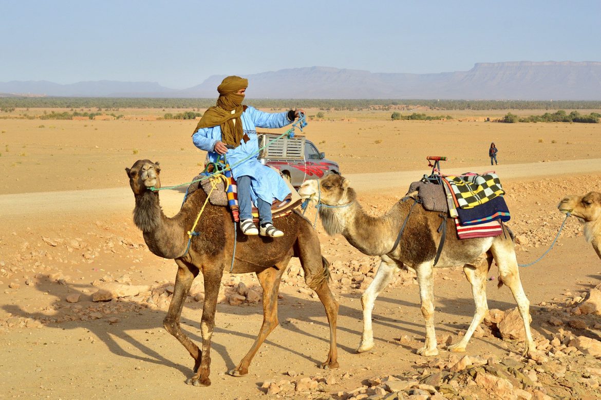 sahara